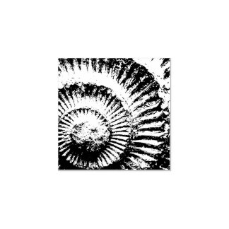 Whitby ammonite stämpel
