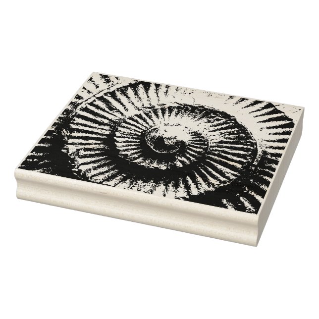 Whitby Ammonite Stämpel (Stämpel)