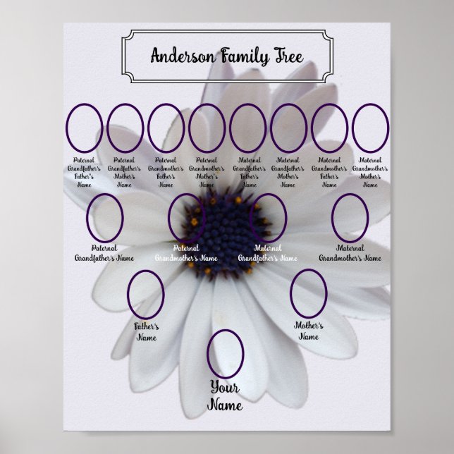 White African Daisy Oval Ancestor Photos Poster (Framsidan)
