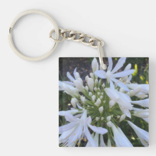 White Agapanthus Flowers