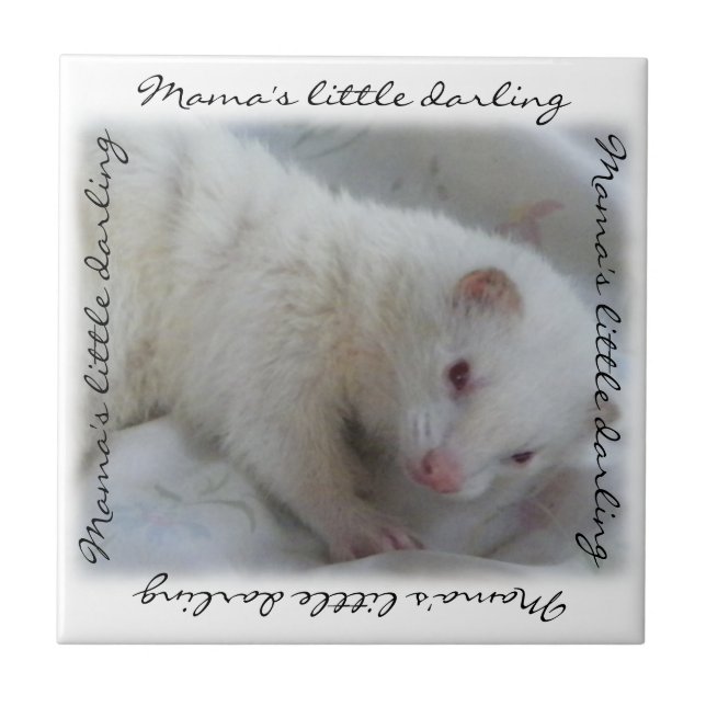 White Albino Ferret Bild Kakelplatta (Framsidan)
