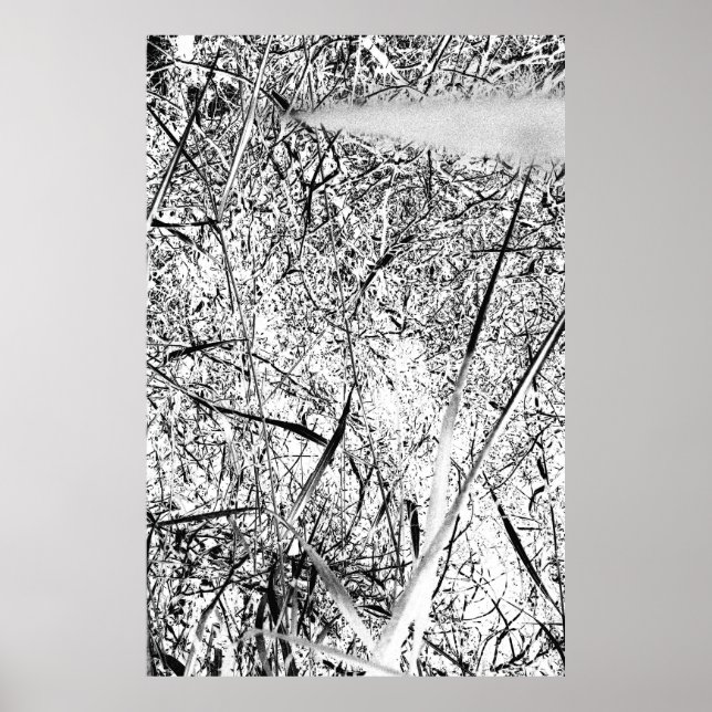 White Alien Grass Poster (Framsidan)