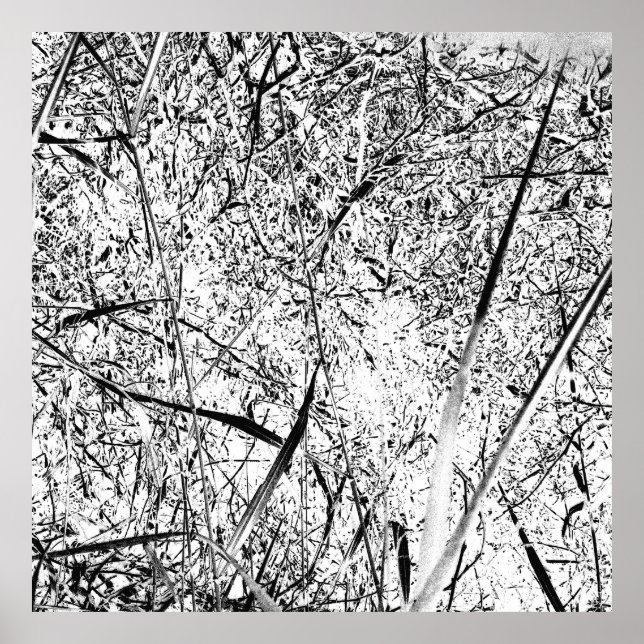 White Alien Grass Poster (Framsidan)