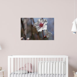 White Almond Flower - Natural Vår Light Elegant Poster