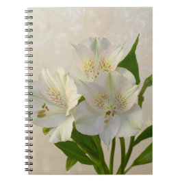 White Alstromeria Flowers Anteckningsbok