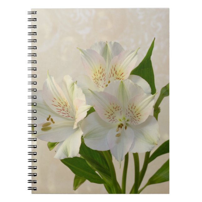 White Alstromeria Flowers Anteckningsbok (Framsidan)