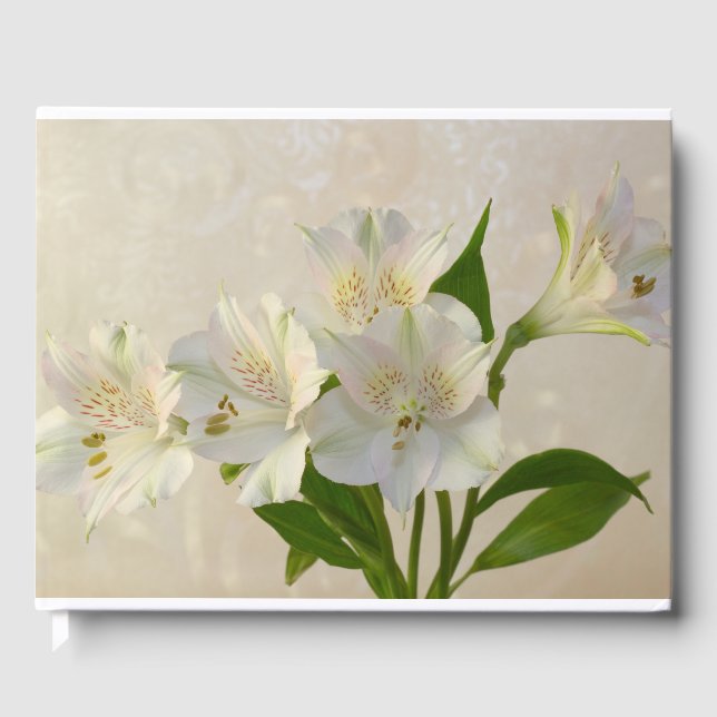 White Alstromeria Flowers Gästböcker (Framsida)