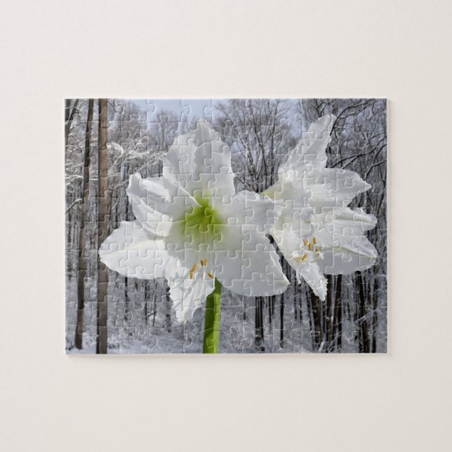 White Amaryllis and Snow I Pussel (Horisontell)