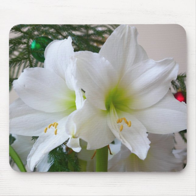 White Amaryllis och Julgran Musmatta (Framsidan)