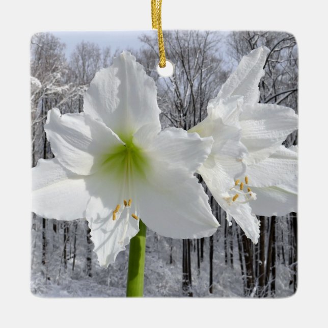 White Amaryllis och Snö I Julgransprydnad Keramik (Framsida)