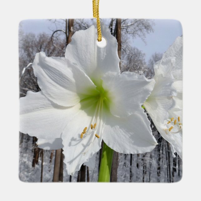 White Amaryllis och Snö II Julgransprydnad Keramik (Framsida)