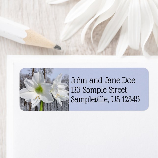 White Amaryllis och Snö II Returadress Etikett (Insitu)