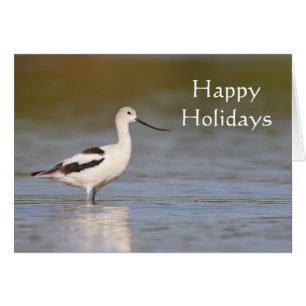 White American Avocet Hälsningskort