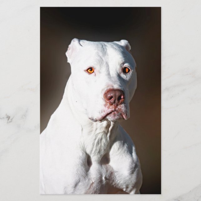 White American Pitbull Terrier Rädding Hund Brevpapper (Framsida)
