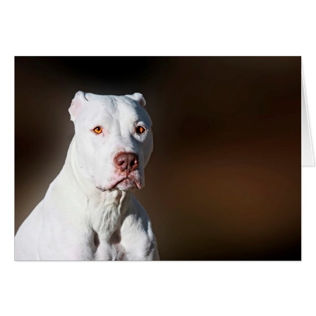 White American Pitbull Terrier Rädding Hund Hälsningskort (Framsidan Horizontal)