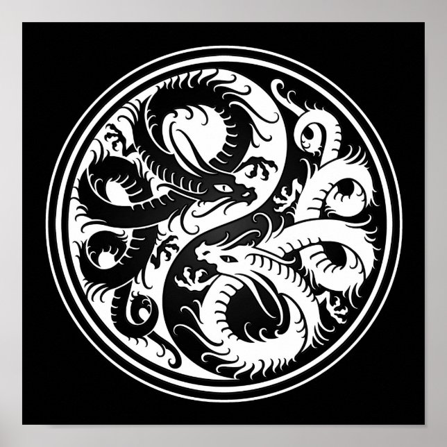 White and Black Yin Yang Chinese Dragons Poster (Framsidan)