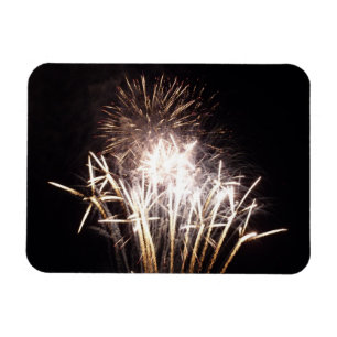 White and Guld Fireworks I Patriotic Firande Magnet