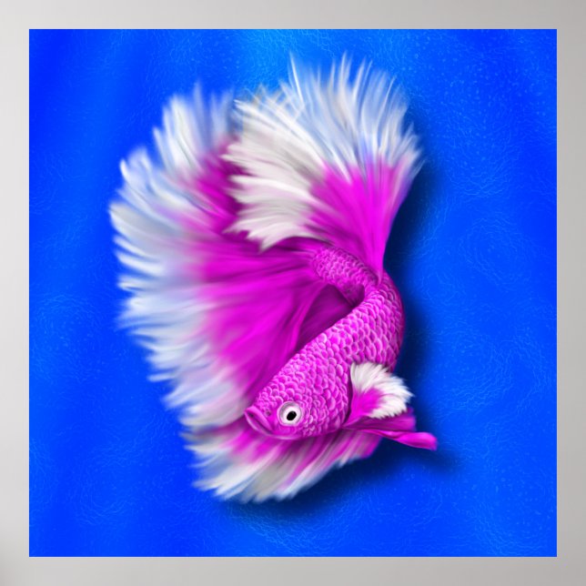 White and Hot Pink Betta Fish Poster (Framsidan)