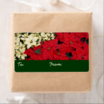 White and Red Poinsettias I Helgdag Blommigt Fraktsedel<br><div class="desc">Här är en underbar helgdag bild av vita och röda poinsettia blommor. Kolla in vår butik om du vill ha mer blommigt,  inklusive amaryllis och holly. Det här bild är också tapet i widescreenformat "White and Red Poinsettias I" på www.mlewallpapers.com.</div>