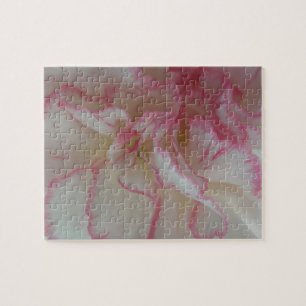 White and Rosa Carnation Puzzle Pussel