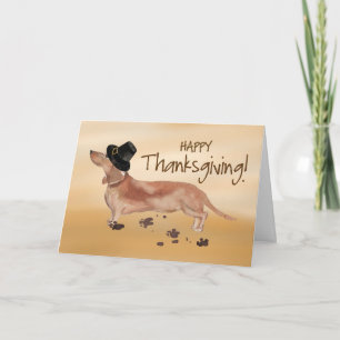 White and Tan Dachshund Pilgrim Hat Thanksgiving Kort