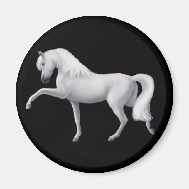 White Andalusian Horse Magnet (Framsidan)