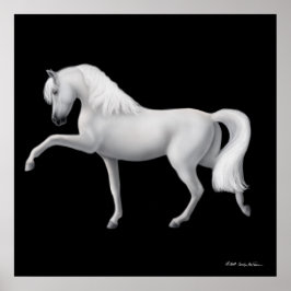 White Andalusian Horse Print Poster