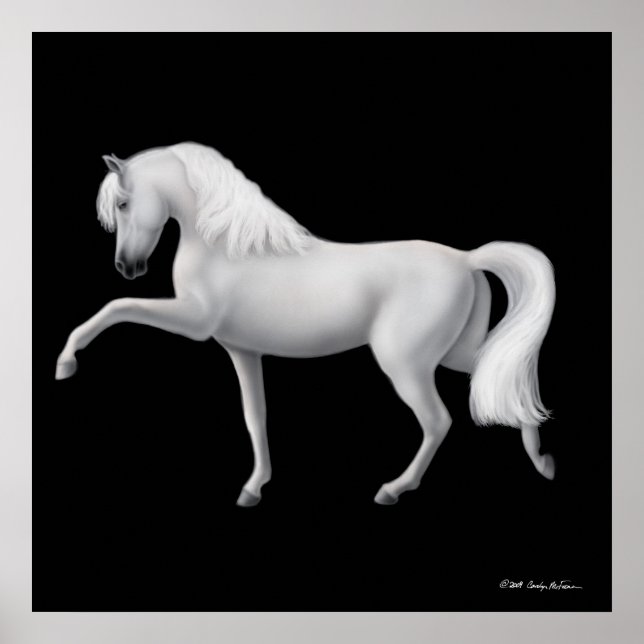 White Andalusian Horse Print Poster (Framsidan)