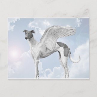 White Angel Greyhound Vykort