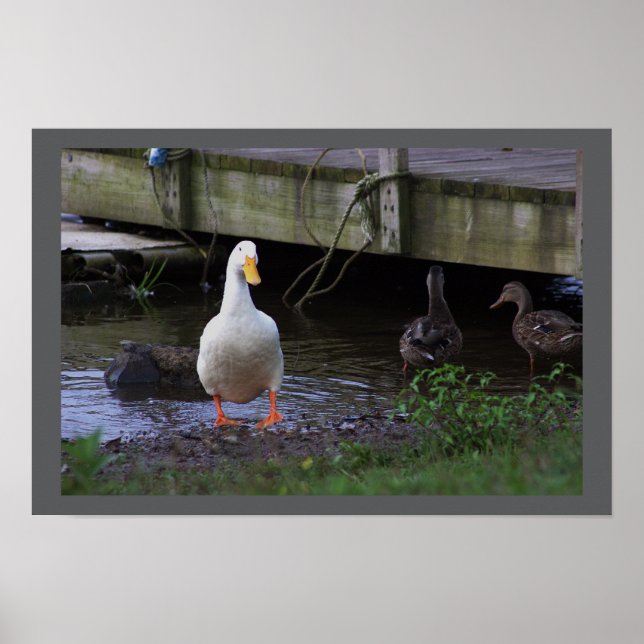 White Anka Photo Poster (Framsidan)
