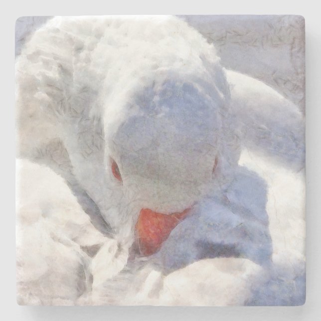 White Anka Preening Art Stenunderlägg (Framsidan)