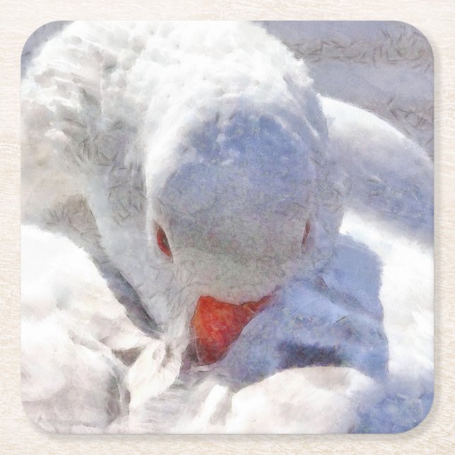 White Anka Preening Art Underlägg Papper Kvadrat (Framsidan)
