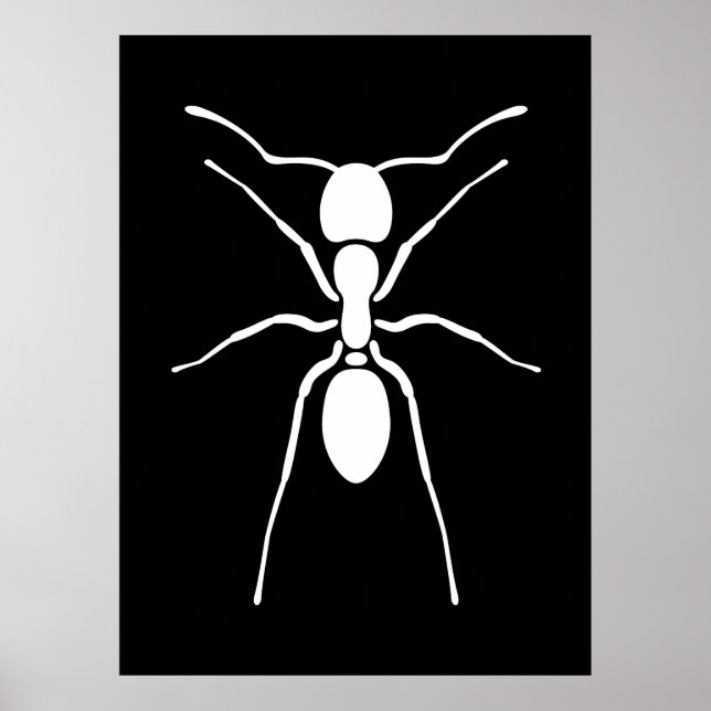 White Ant Poster (Framsidan)