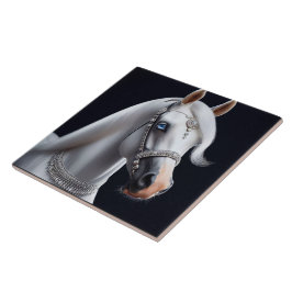 White Arabian Horse Porträtt Kakelplatta