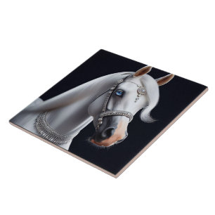 White Arabian Horse Porträtt Kakelplatta
