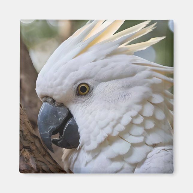 White Australian Cockatoo Parrot Magnet (Framsidan)