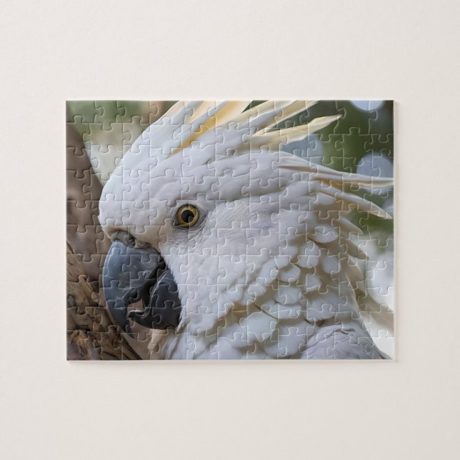 White Australian Cockatoo Parrot Pussel (Horisontell)