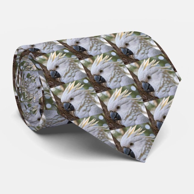 White Australian Cockatoo Parrot Slips (Rullad)