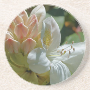 White Azalea Blommigt Drink Underlägg Sandsten