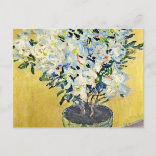 White Azaleas in a Pot - Claude Monet Vykort