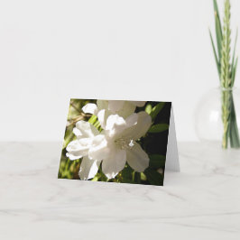 White Azalia Shadow Fairy Kort