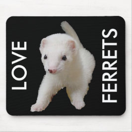 White Baby Ferret Musmatta