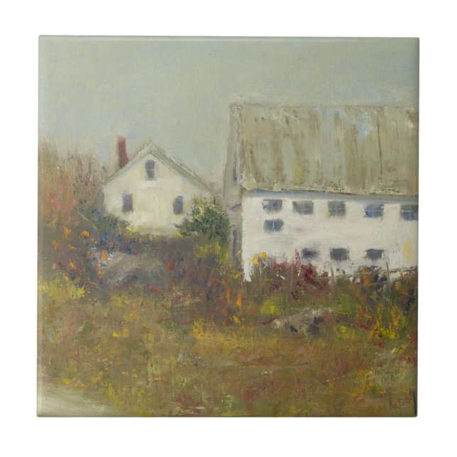 White Barn Kakelplatta (Framsidan)