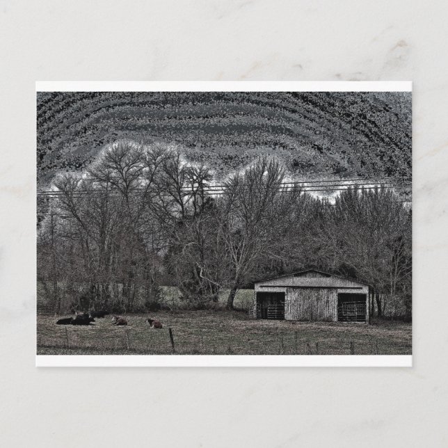 White Barn Vykort (Framsida)
