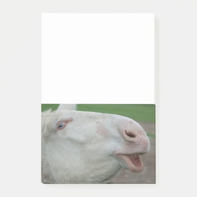 White Baroque Donkey Post-it Block (Framsida)