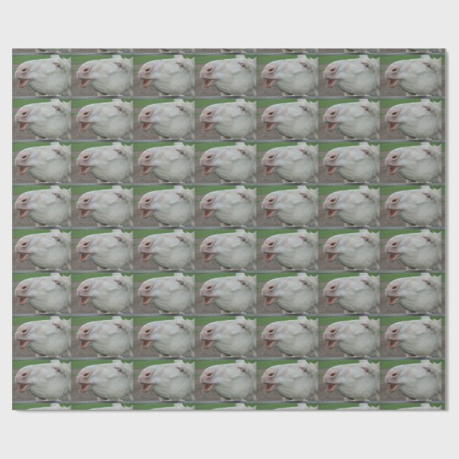 White Baroque Donkey Presentpapper (Platt)