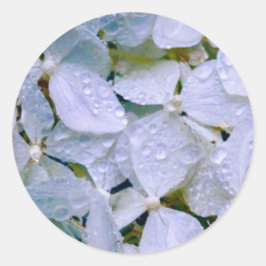 White Beauty Runt Klistermärke