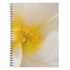 White Begonia Anteckningsbok