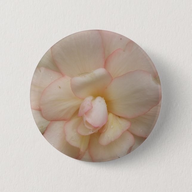 White Begonia Flower-knapp Knapp (Framsida)