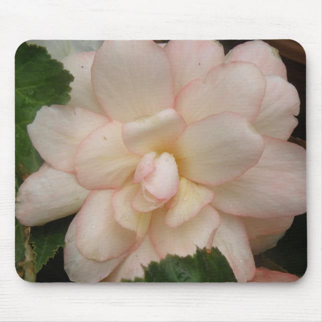 White Begonia Flower Mousepad Musmatta (Framsidan)